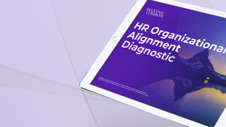 HR Organizational Alignment Diagnostic Guide preview picture