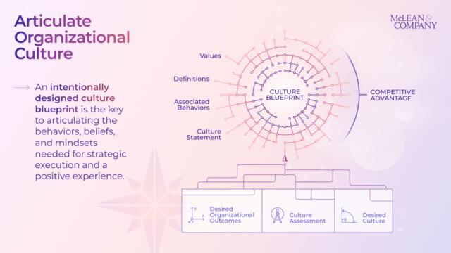 Articulate Organizational Culture preview picture