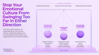 Demystifying Emotions in the Workplace preview picture