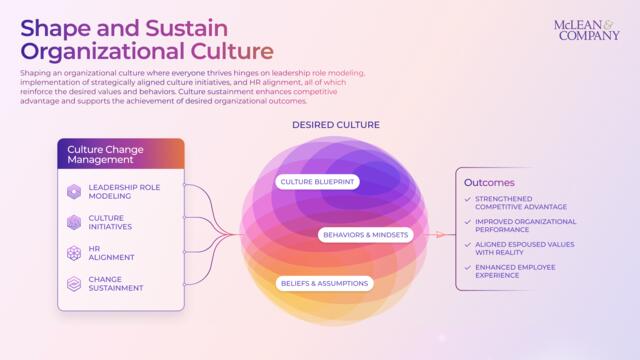 Shape and Sustain Organizational Culture preview picture