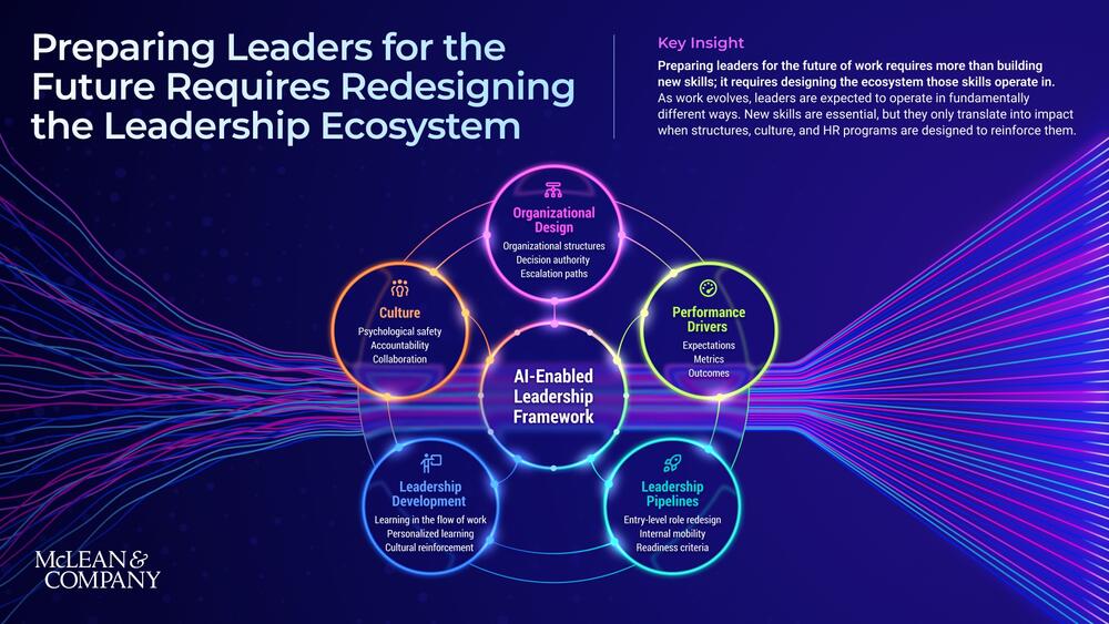 Designing the Leadership Ecosystem for AI Transformation preview picture